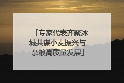 专家代表齐聚冰城共谋小麦振兴与杂粮高质量发展